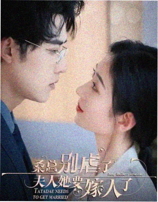 黑帮大佬爱上我 家族晚宴